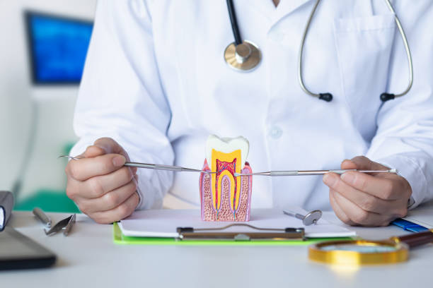 Best Emergency Root Canal Treatment in Waggaman, LA